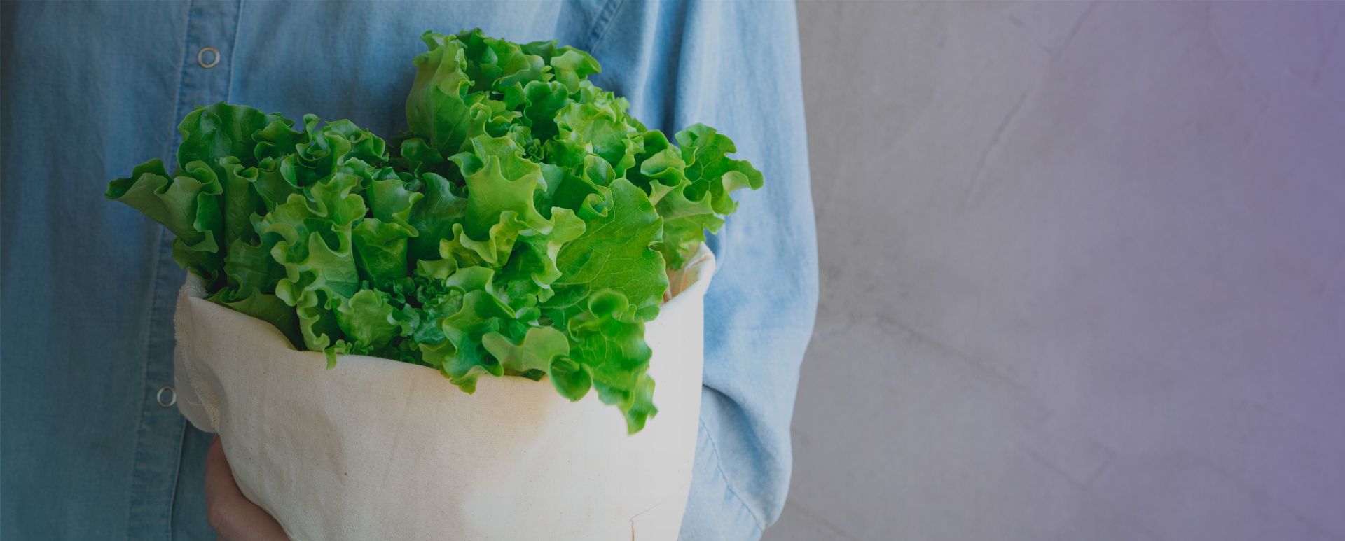 insalata in sacchetto riciclabile
