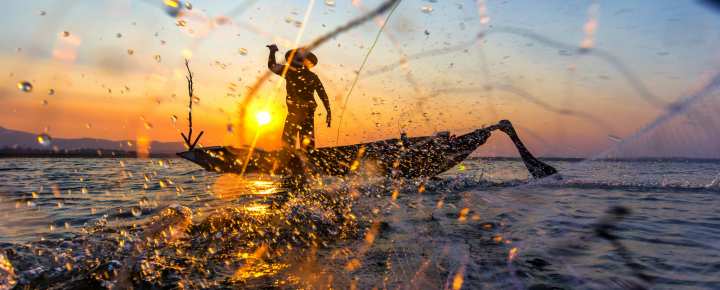 sostenibilità della pesca